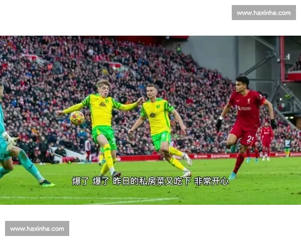 莱切斯特城对阵狼队比赛效果解析与走势前瞻全面解读战术关键影响