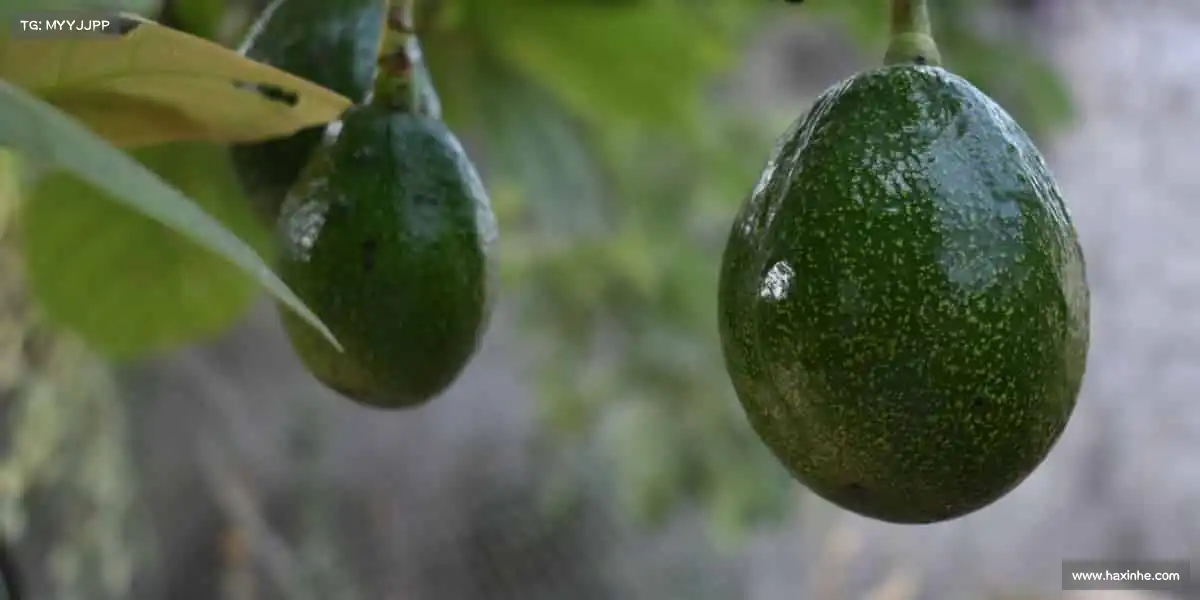 我们的核心竞争力